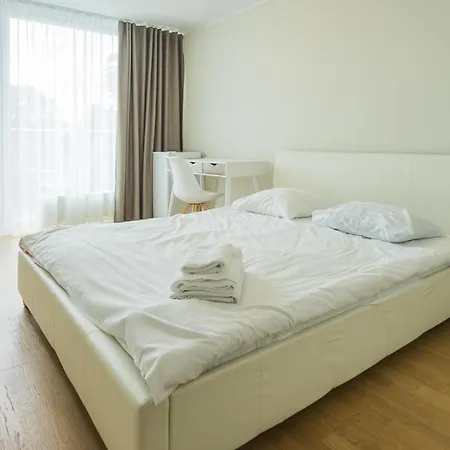 Sunny Aisa * 派尔努